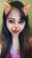 come here kitty kitty 