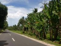 road trip