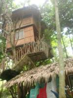 tree house