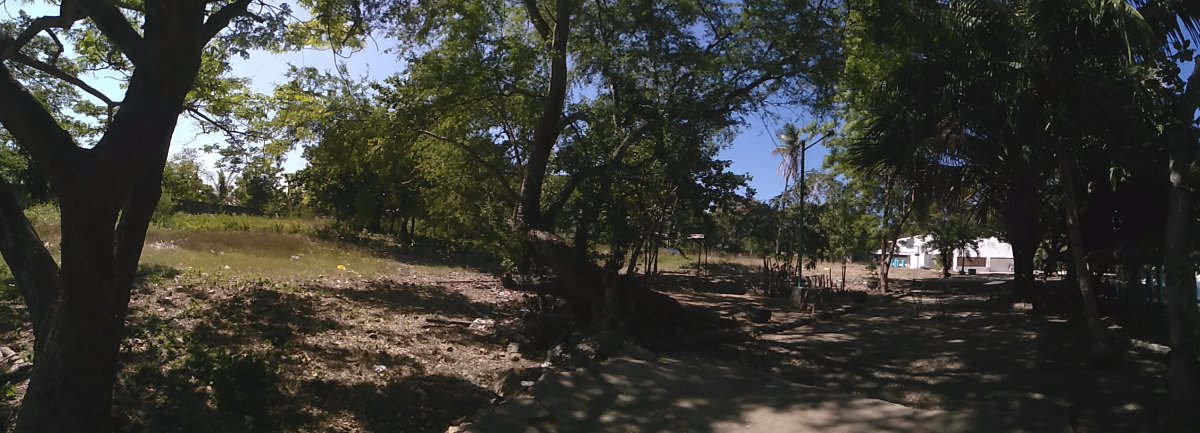 under the shade