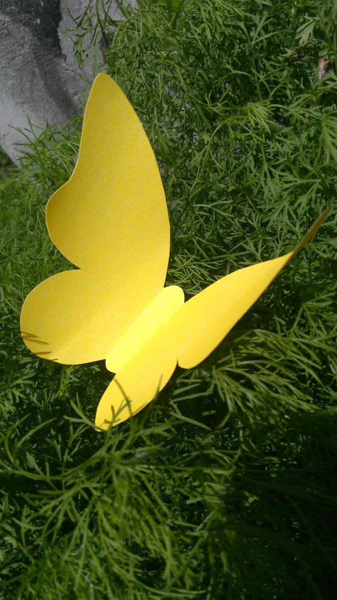 yellow and green