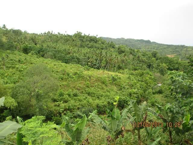 at sanfernando philippines 