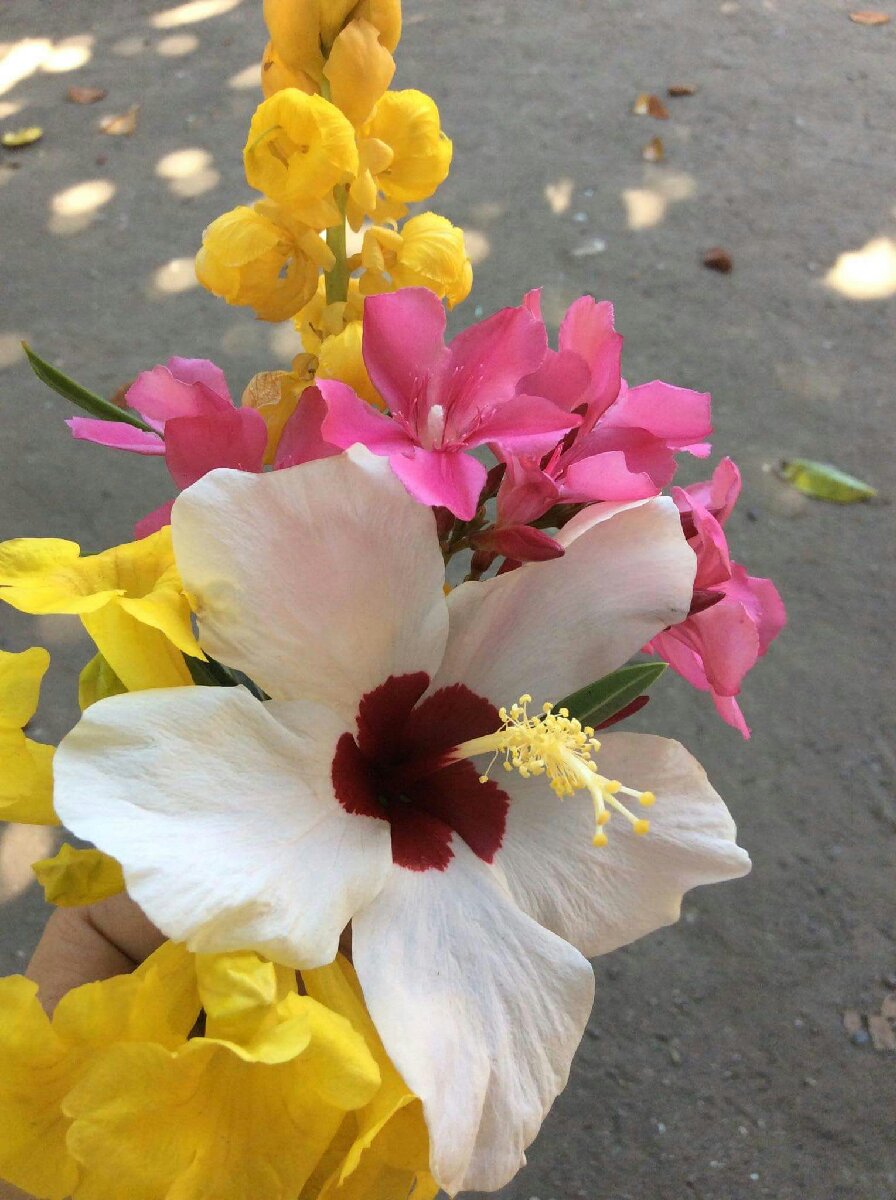 flowers 