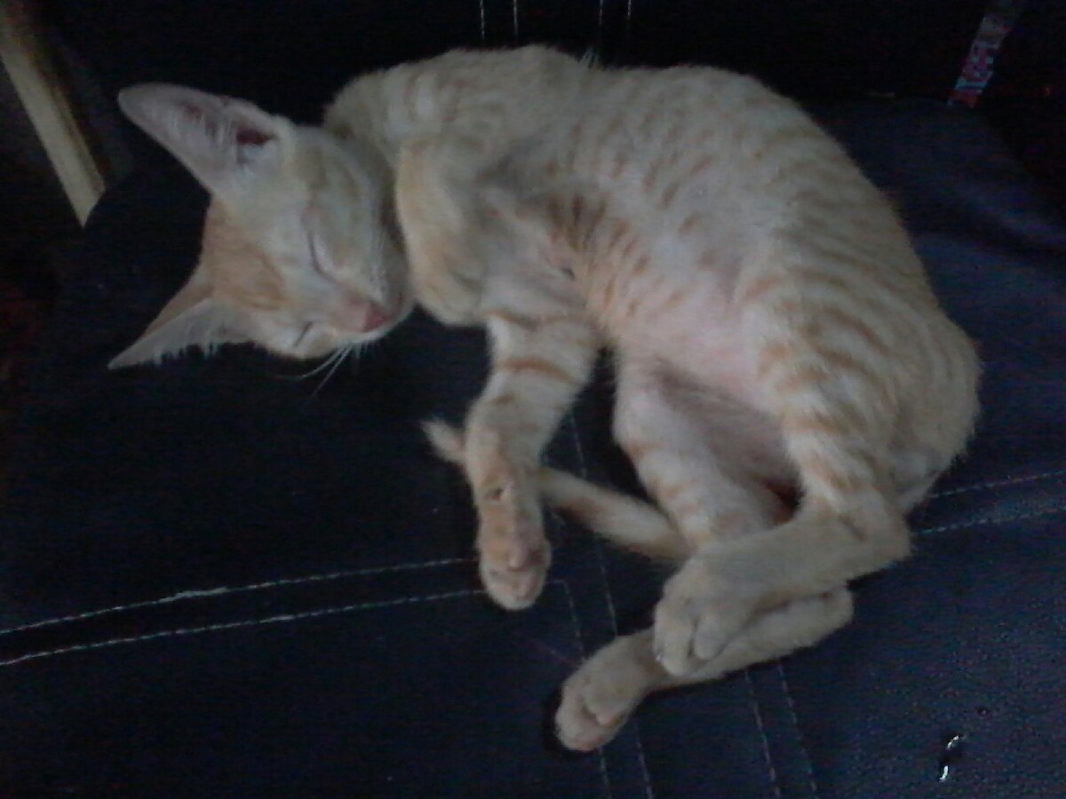 hahah tired much