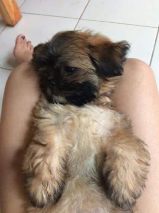 huhuhu what should i do for him 