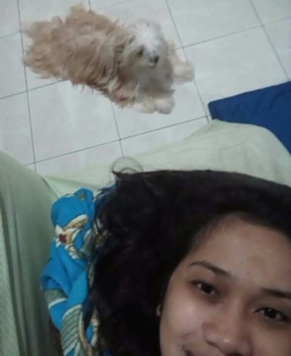 my body guard