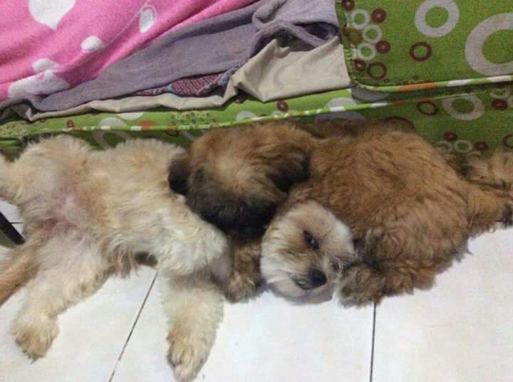 sisters love