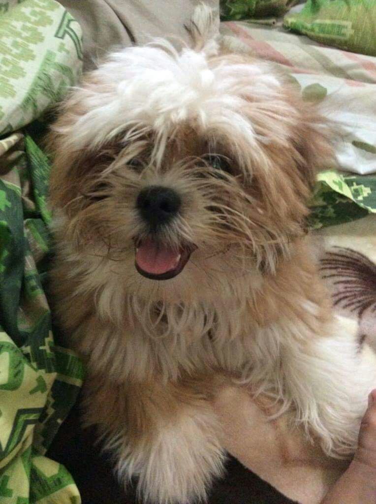 sooo cute