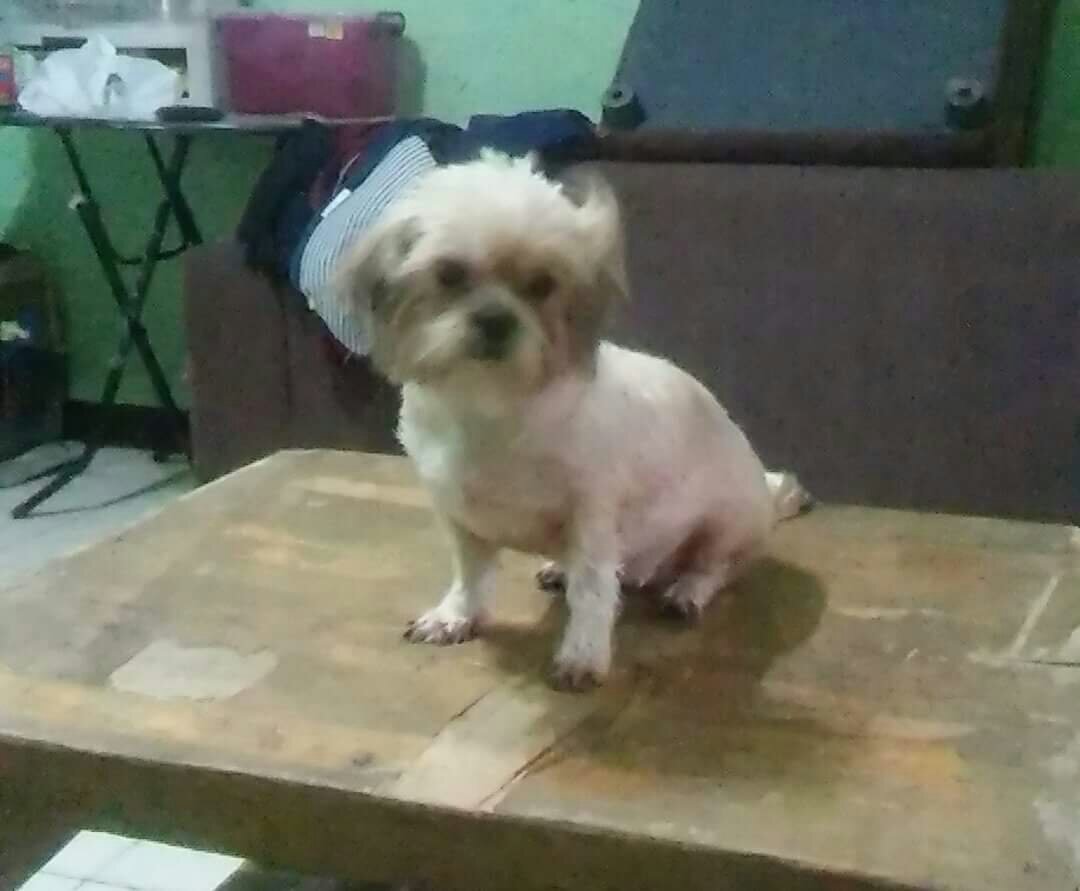 throw back new haircut