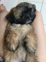 i love you baby