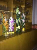 white orchids