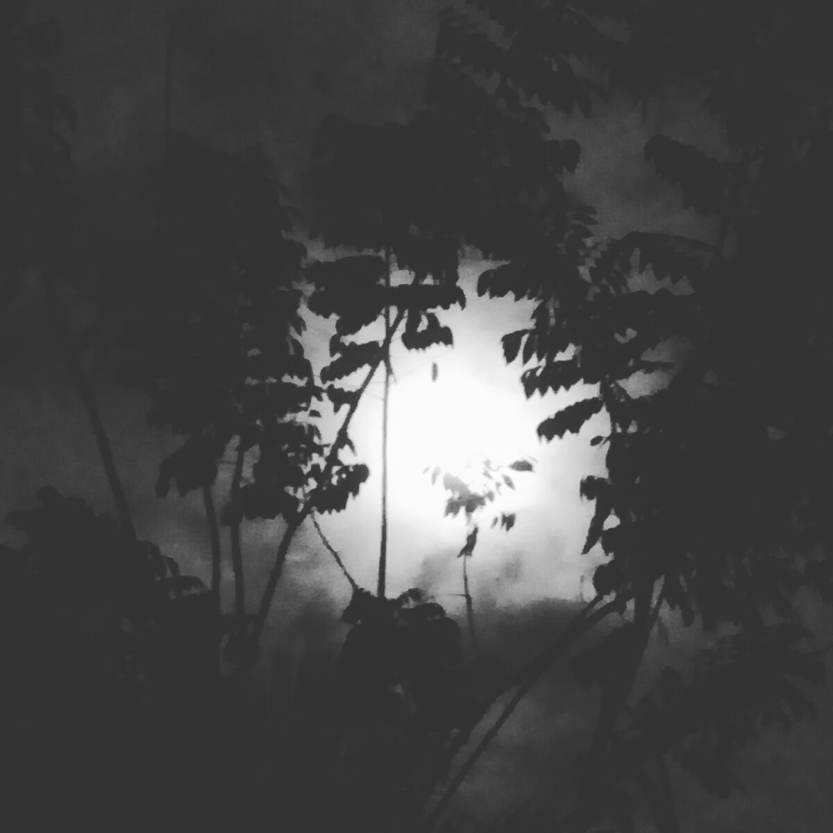 moonlight in cebu