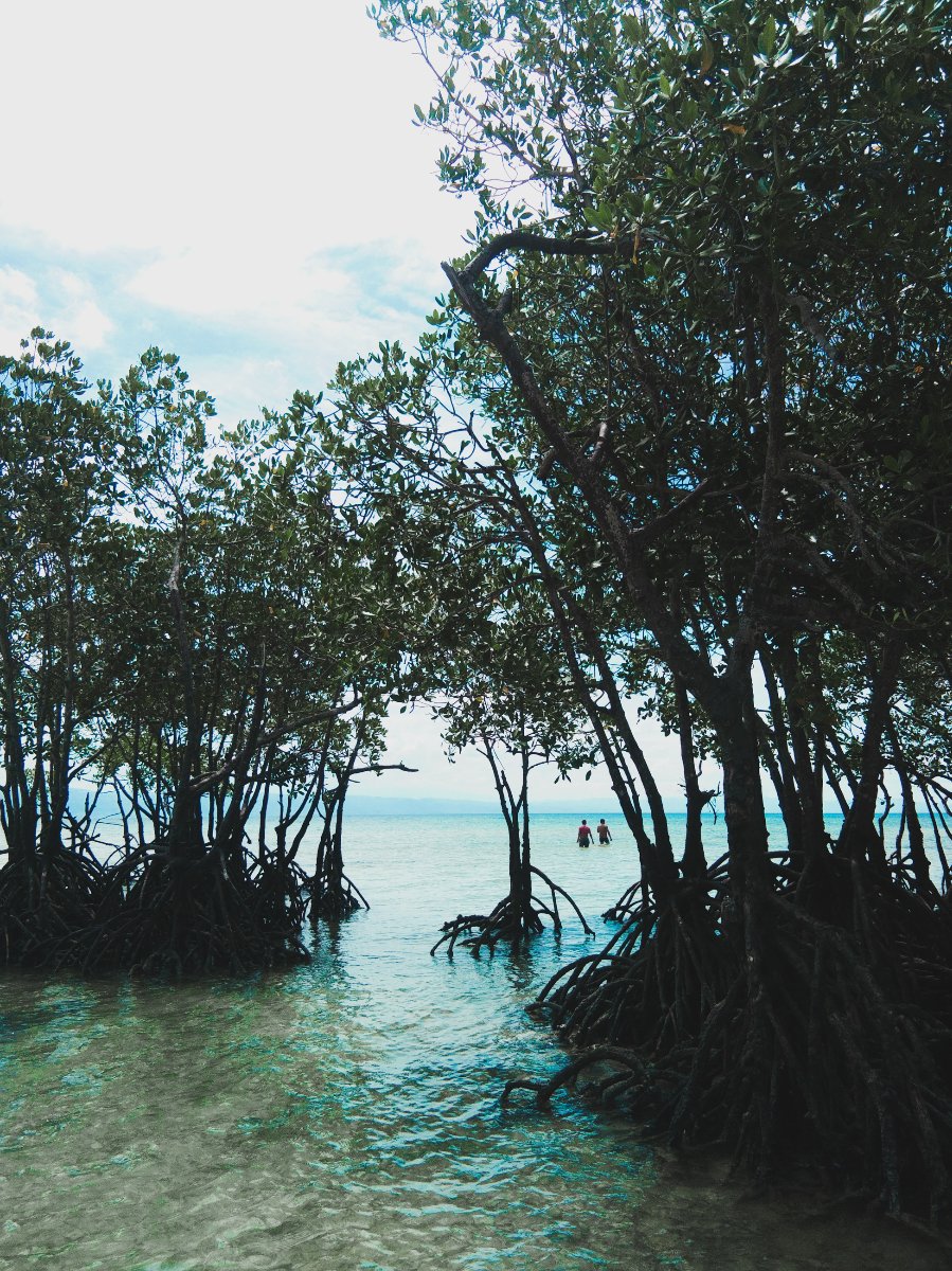 #nature