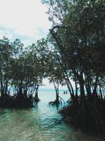 #nature