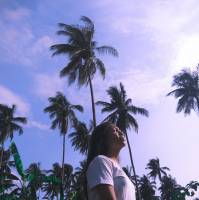 Palm trees and daydreams