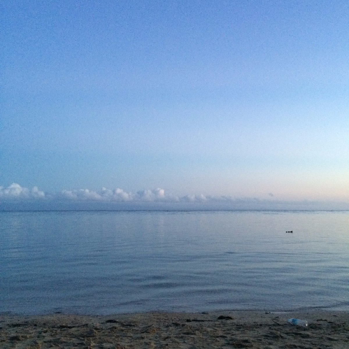 Beach, Shore, Sunrise