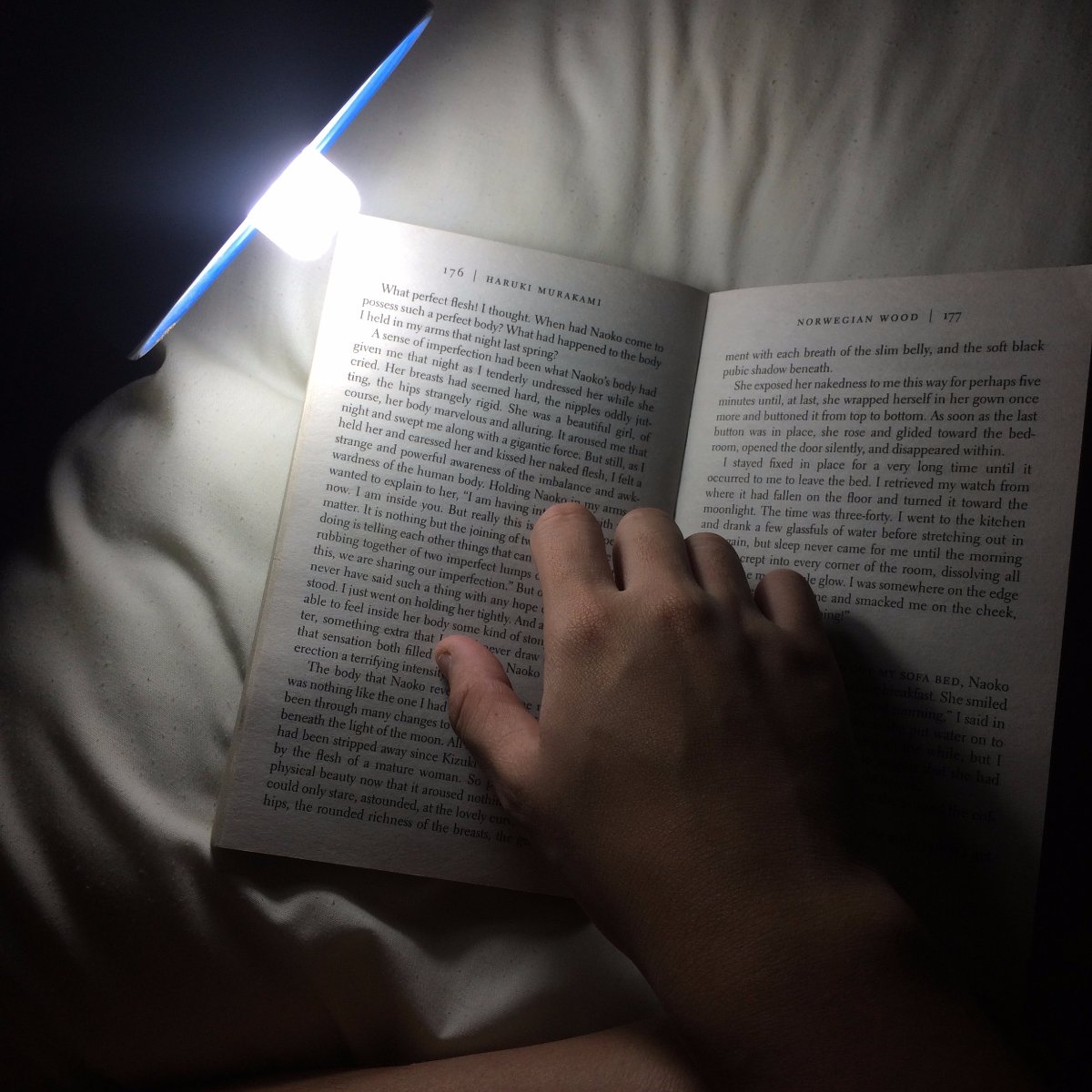 Book, Reading