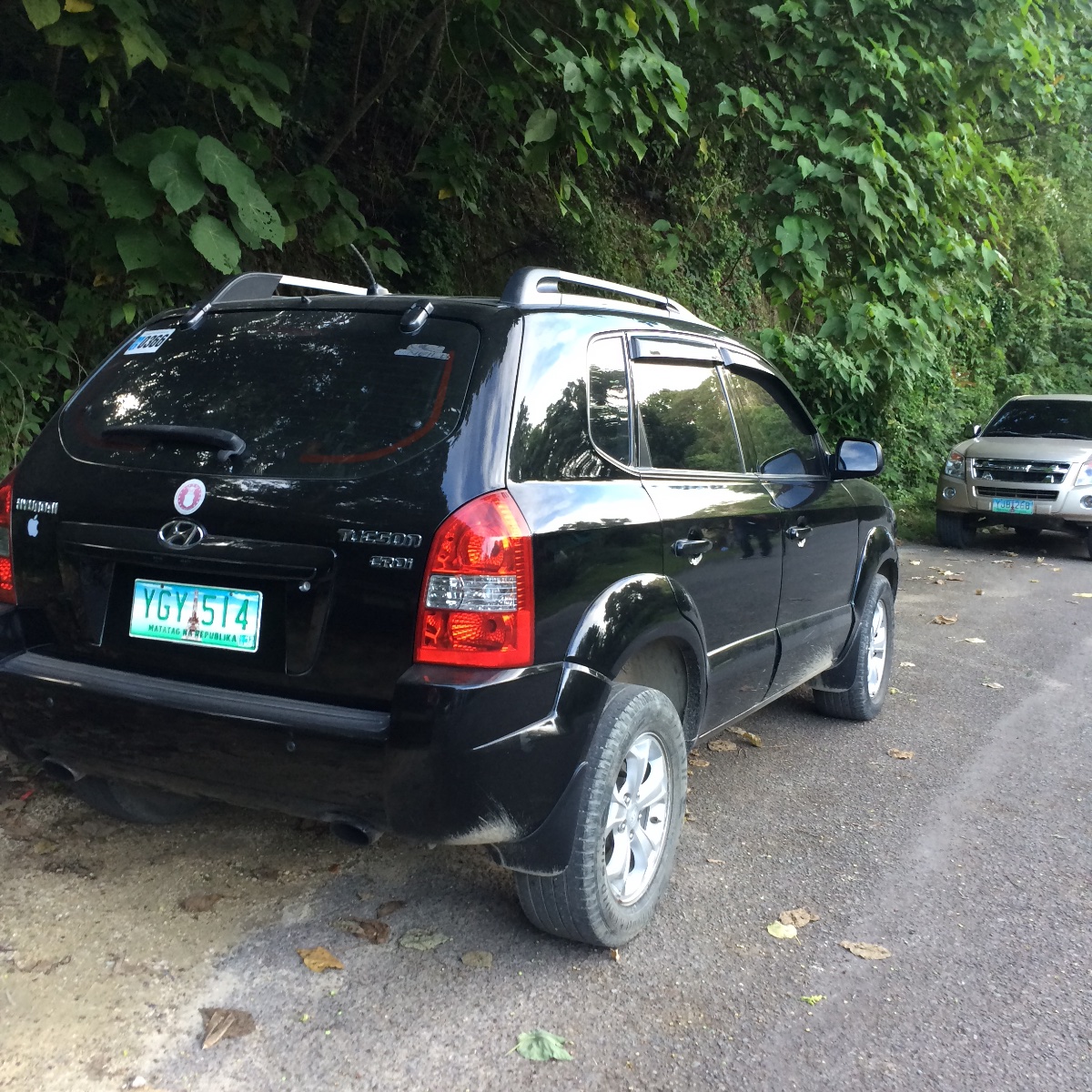 Car by the road