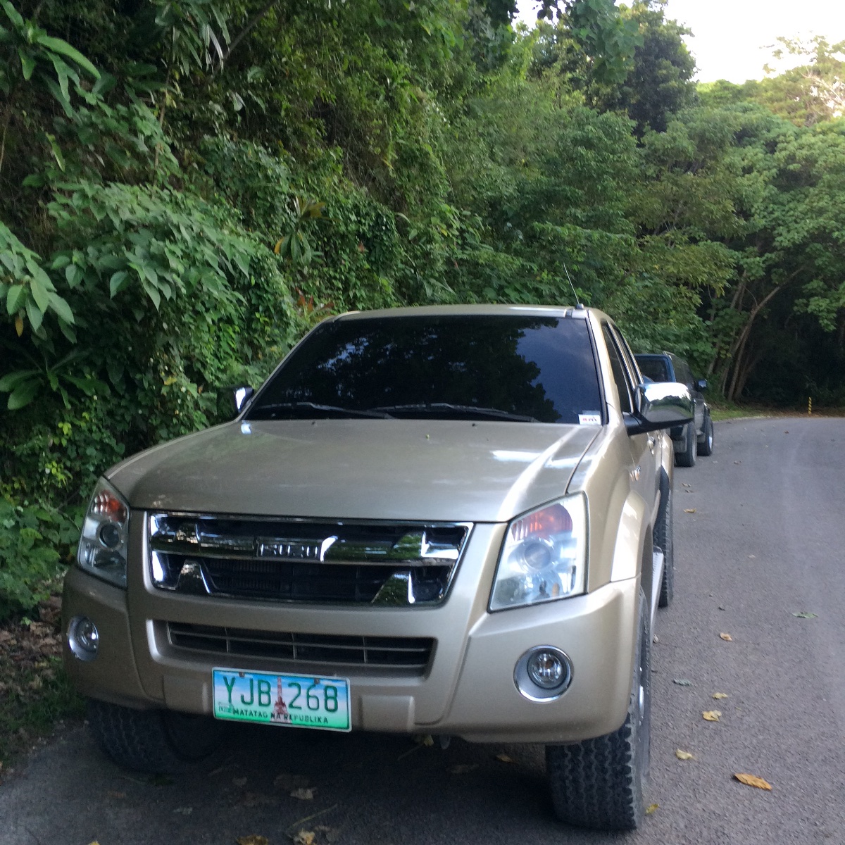 Car by the road