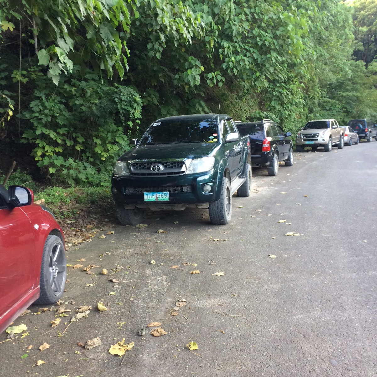 Cars by the road