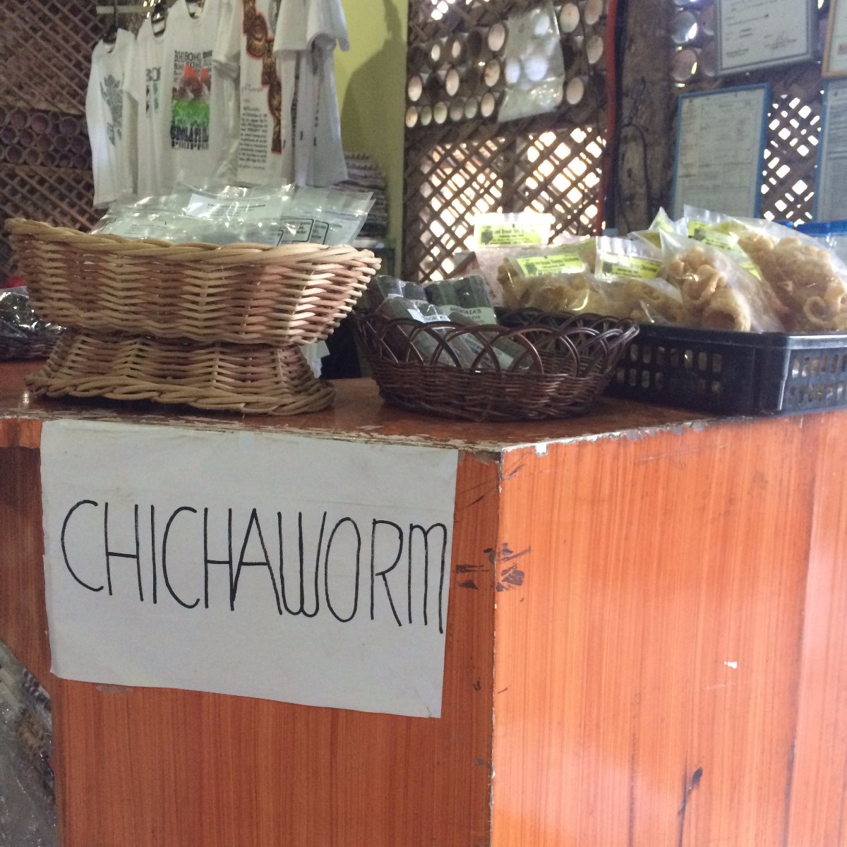 Chichaworm, Travel, Explore