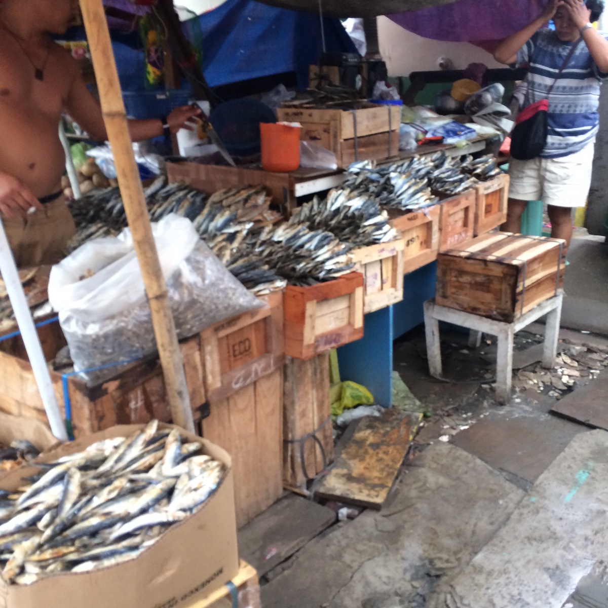 Fish for sale