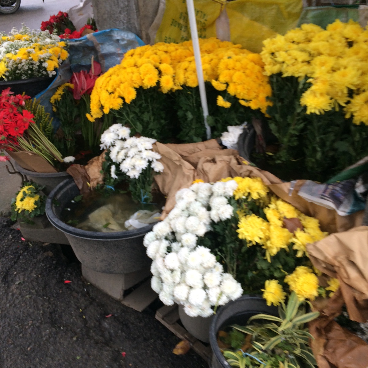 Flowers for sale by the road