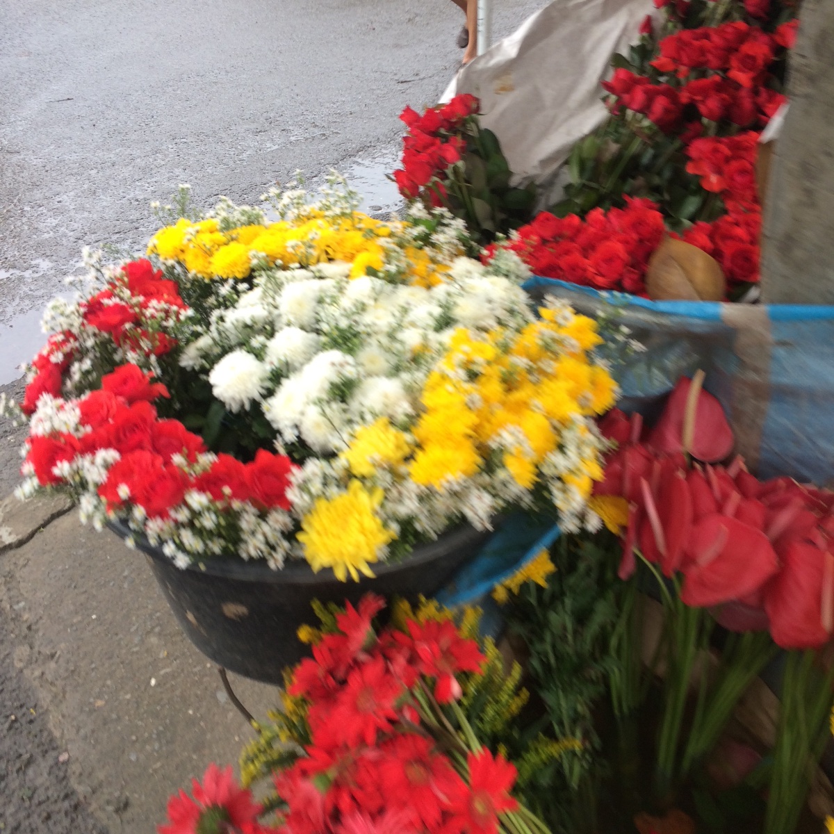 Flowers for sale by the road