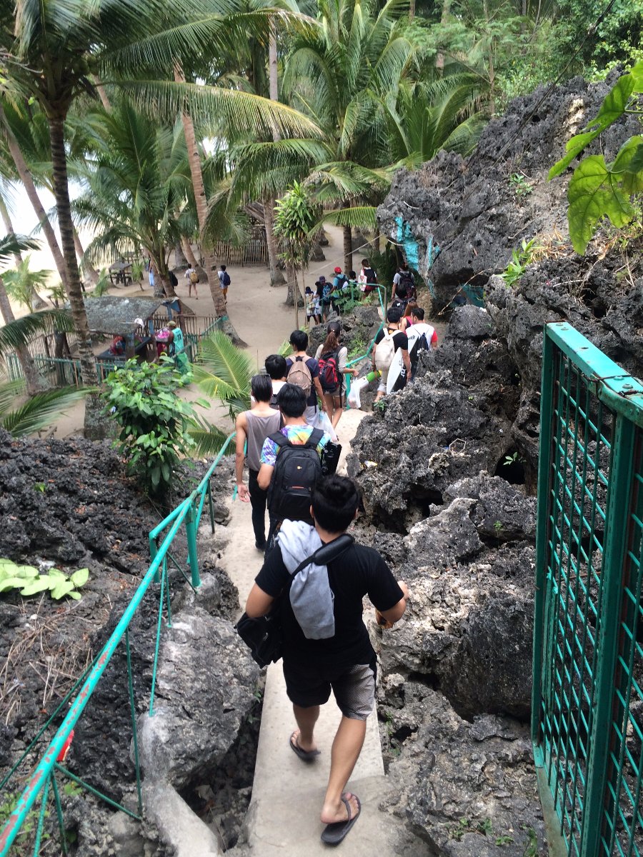 Group, Travel, Explore, Beach