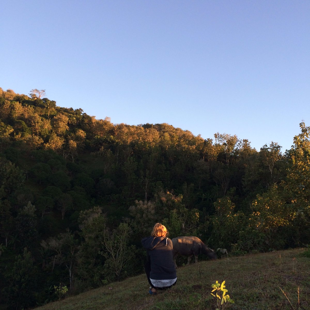 In the mountains, Travel, Nature, Beauty, View
