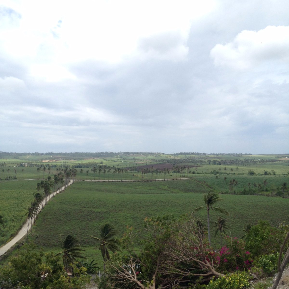 Nature, Valley, View, Travel, Explore