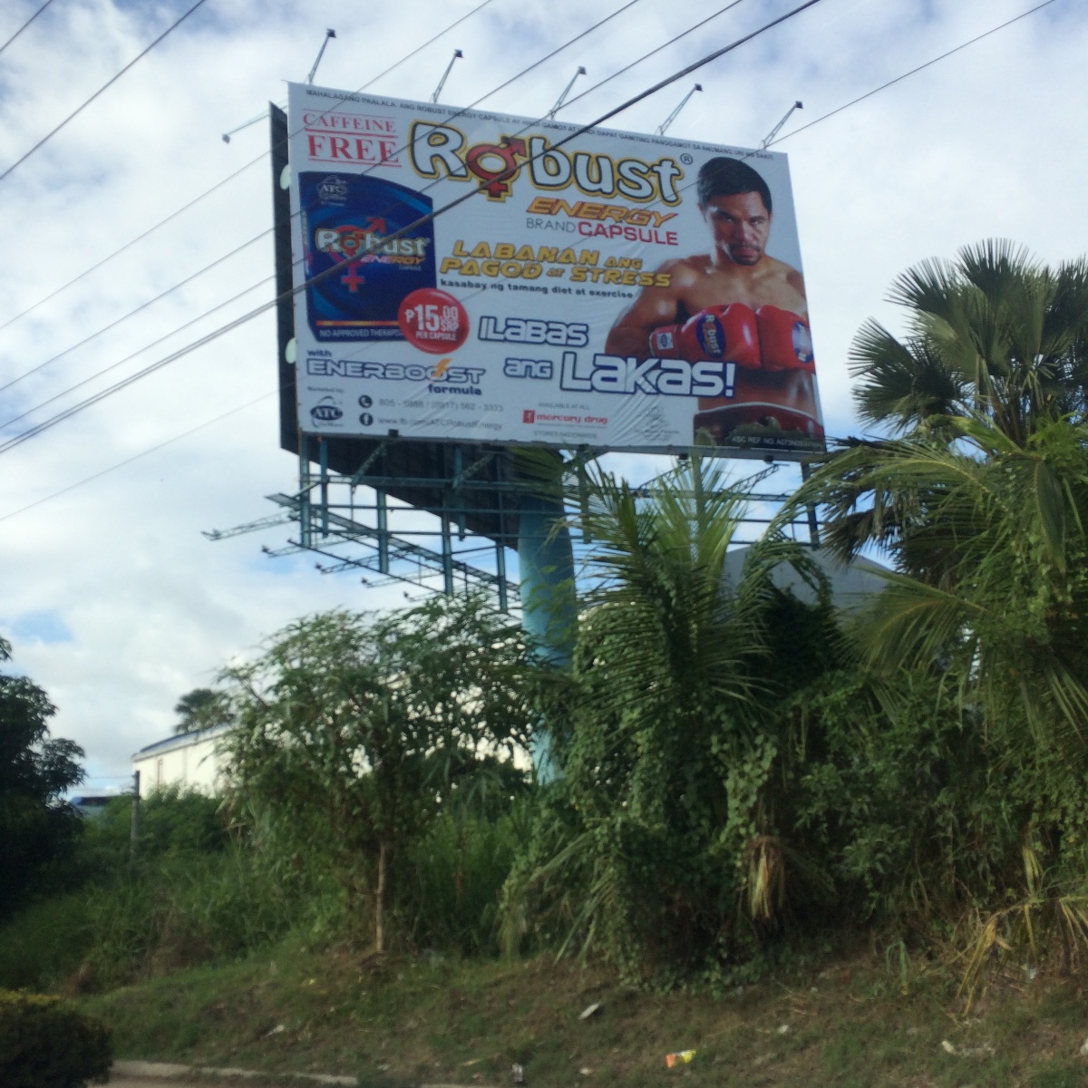 Robust billboard by the road