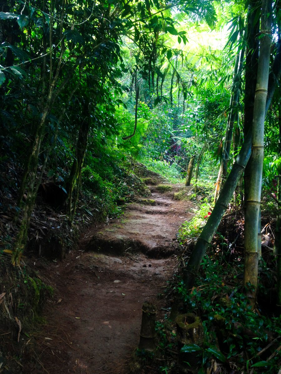 Trail