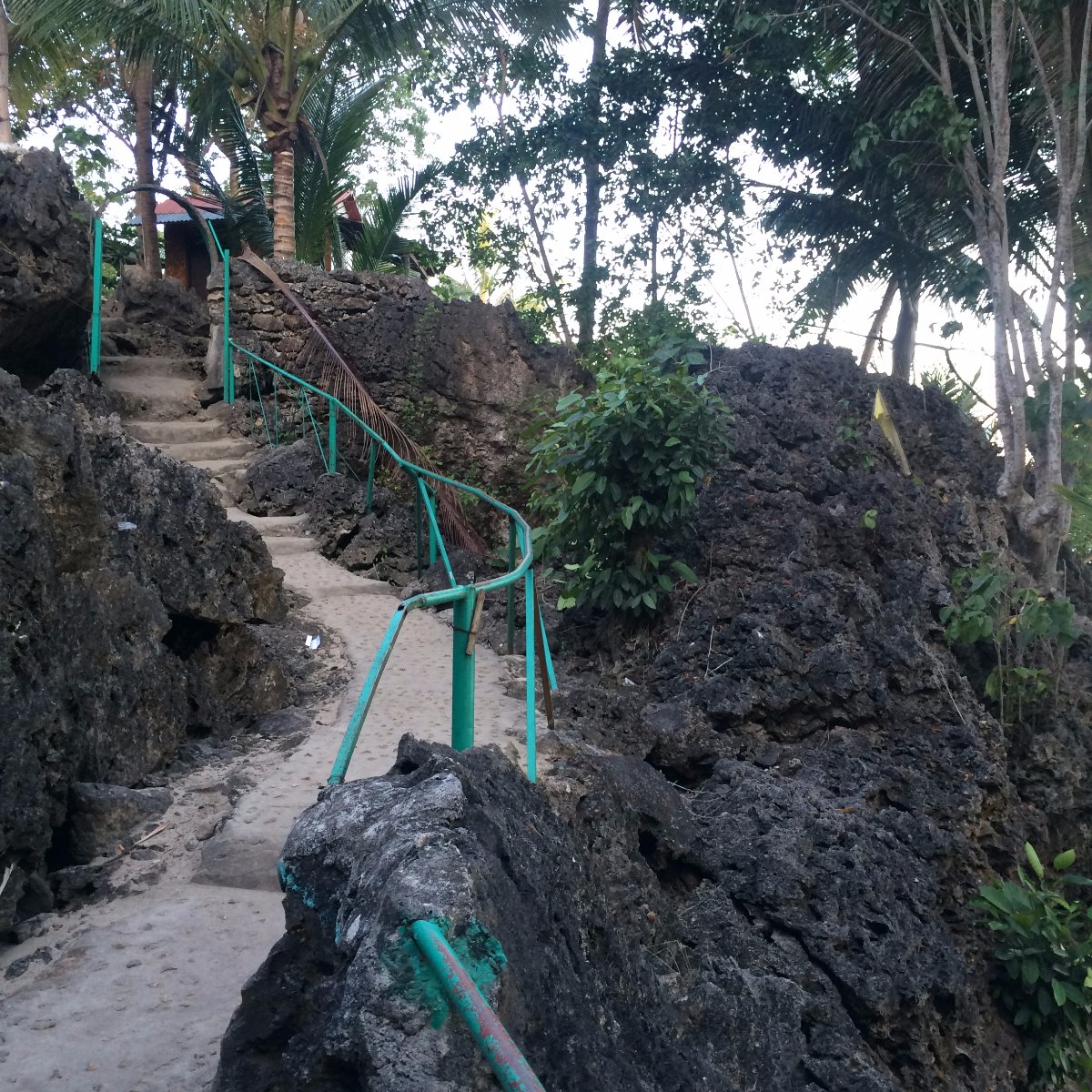 Travel, Explore, Beach, Trail