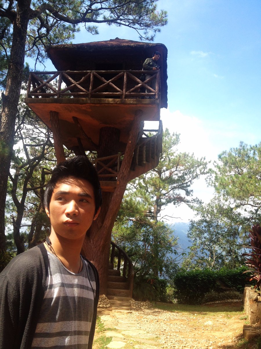 Treehouse, View, Travel, Explore