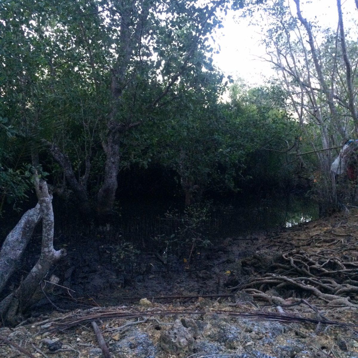 Trees, Province, Relax, Chill, Explore