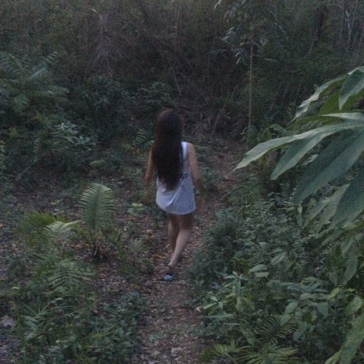 Trees, Province, Relax, Chill, Explore