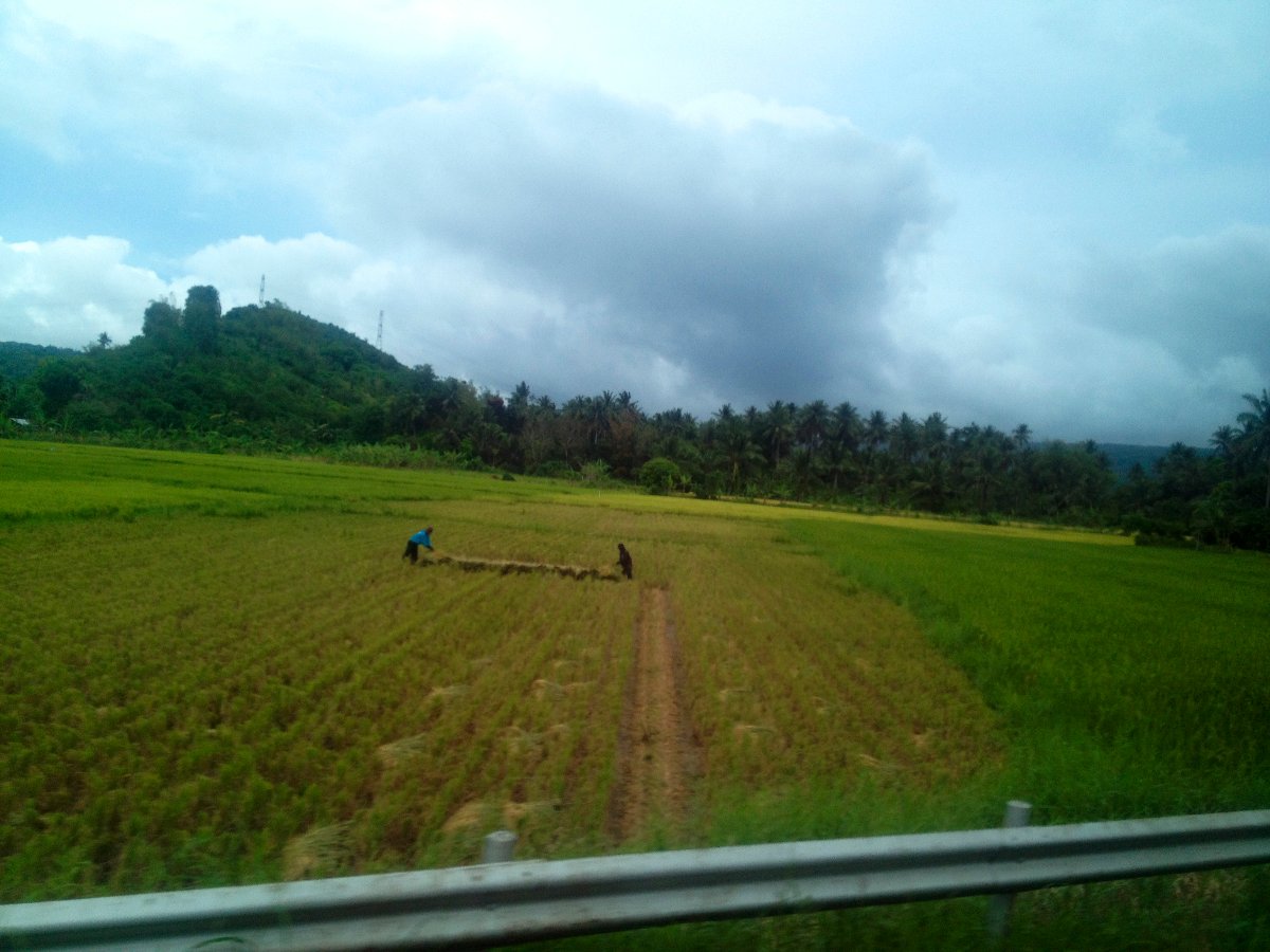Valley, View, Road, Travel