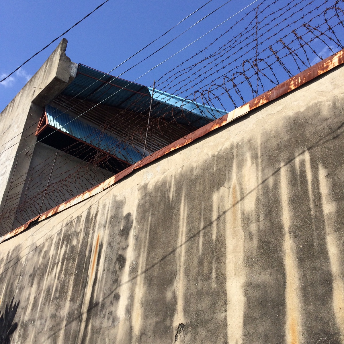 Wall, Walking Dead