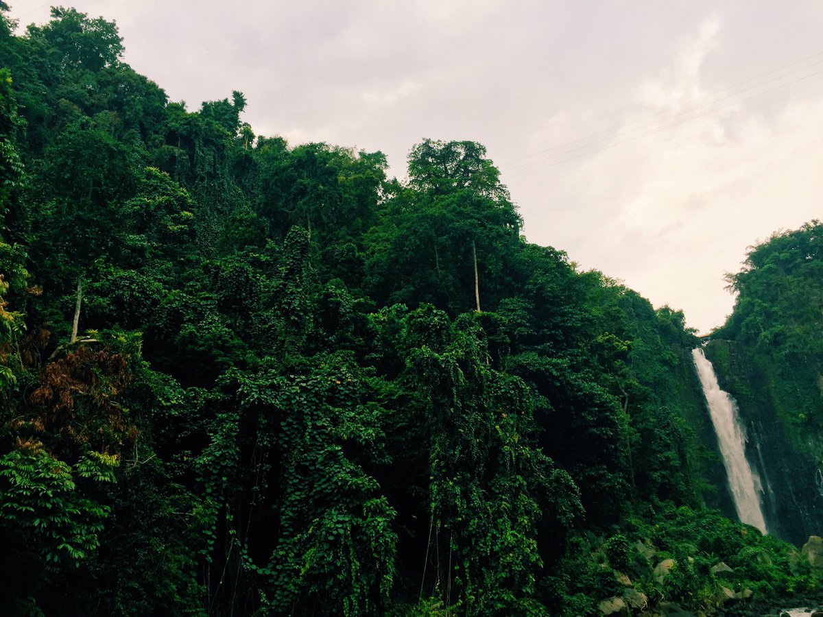bohol, travel, getaway, vacation