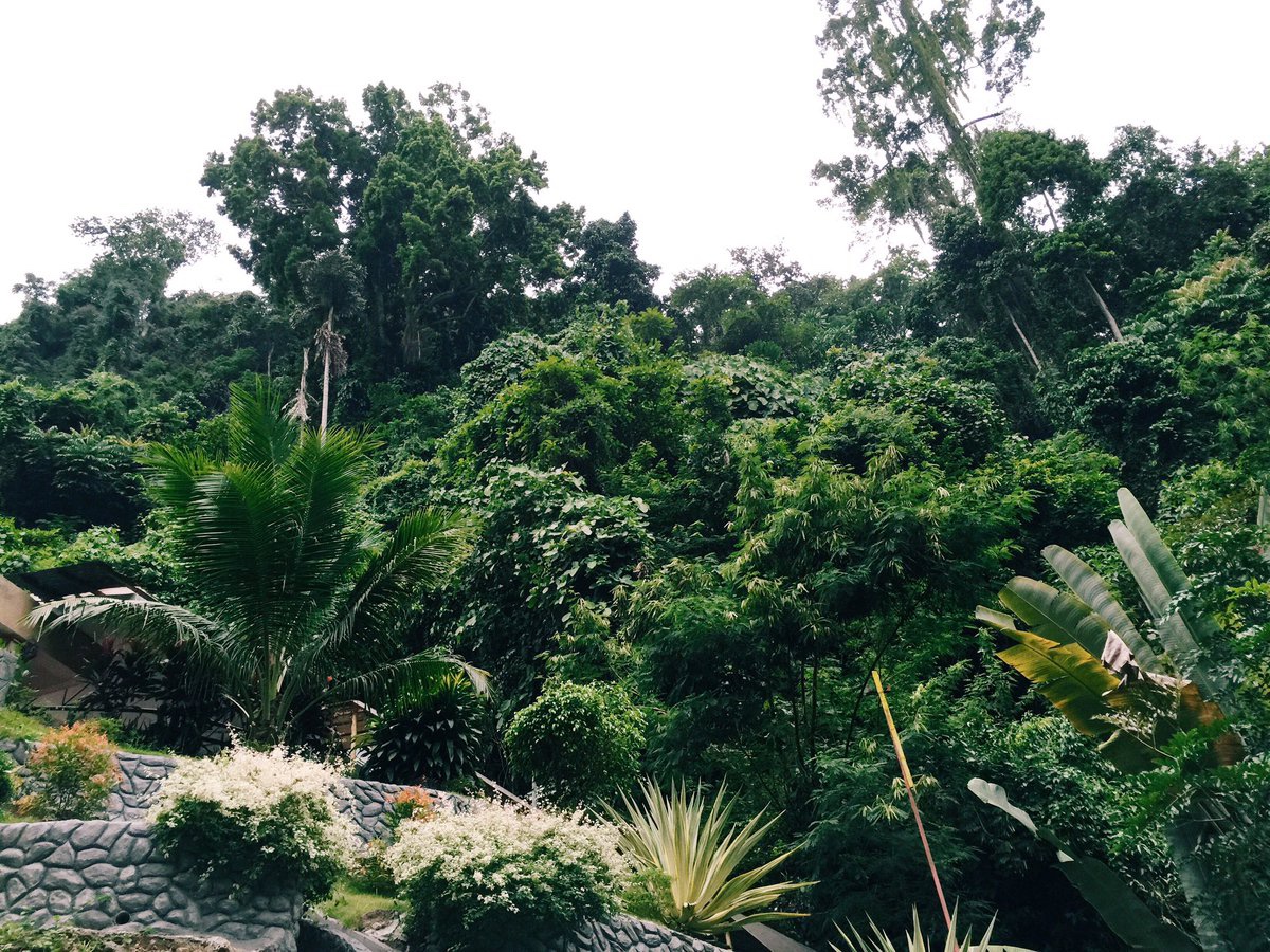 bohol, travel, getaway, vacation