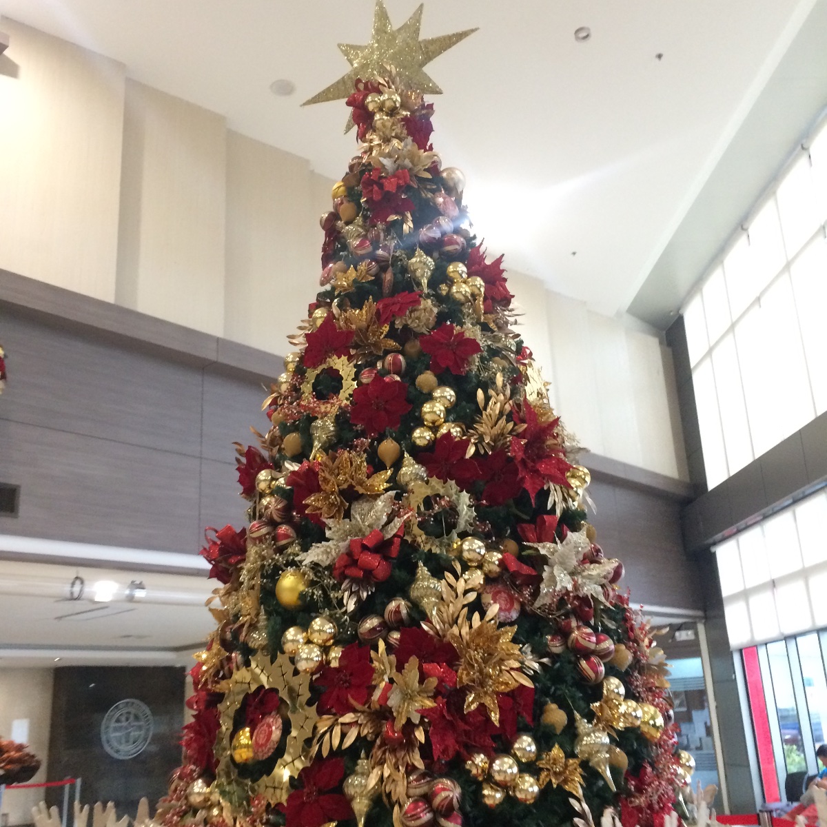 christmas tree