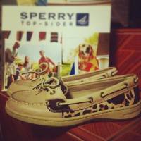 Shoes, Sperry, New