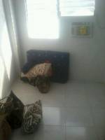 Empty Room
