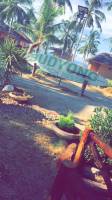 bohol resort