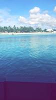 bohol resort