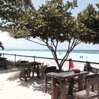 bohol resort