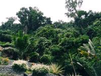 bohol, travel, getaway, vacation