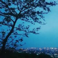 City Lights, View from airplane