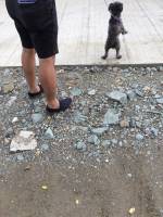 Street, Road, Construction